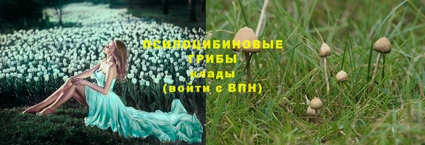 марки lsd Алексеевка
