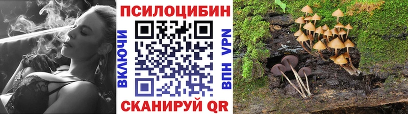 ОМГ ОМГ онион  Катайск  Галлюциногенные грибы прущие грибы 